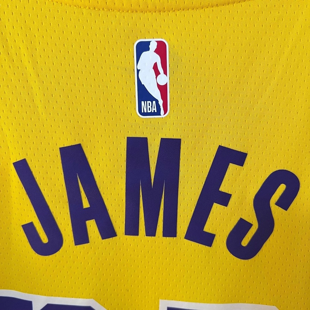 Nike LeBron James Los Angeles Lakers Icon Edition NBA Jersey Men's Size M 44 - Picture 6 of 13